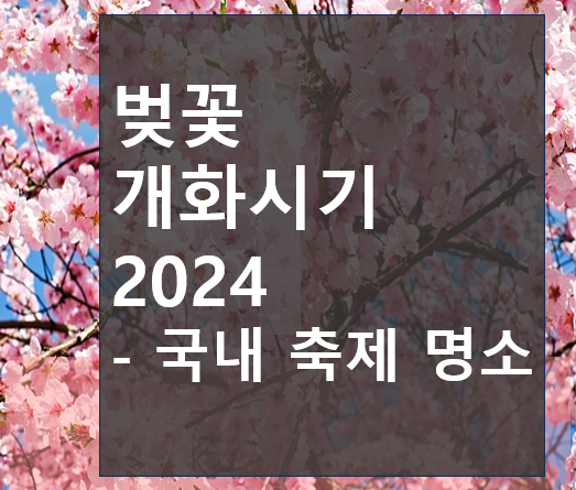 벚꽃 개화시기 2024 - 국내 축제 명소